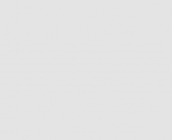 http://mint-concept.de