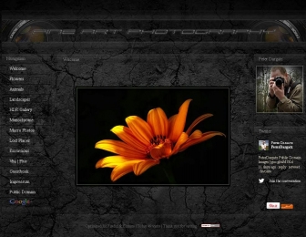 http://peterdargatz.de