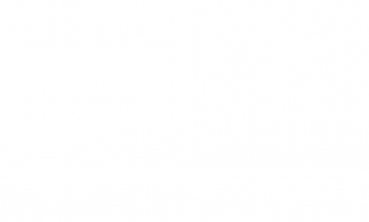 http://prolegro.de