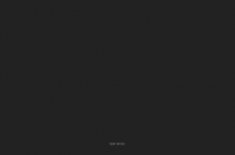 http://www.schnabel-partner.de/