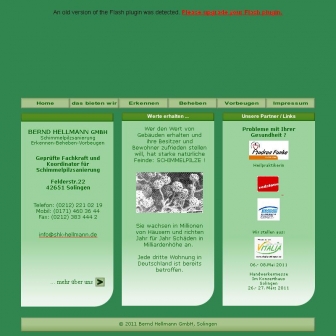 http://shk-hellmann.de