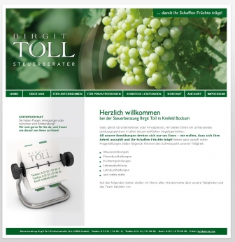 http://steuerberater-toll.de