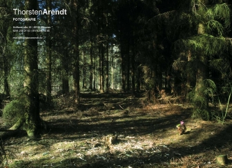 http://thorstenarendt.de