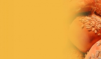 http://ug-consulting.de