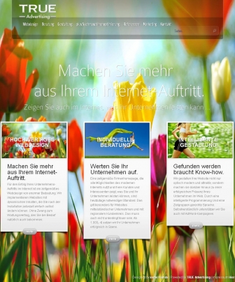 http://webdesign.true-advertising.de