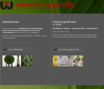 http://wesseling-gmbh.de